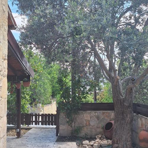 a tree sitting next to a stone wall at Koukaki in Kouka