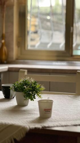 Myslym Shyri cozy condo