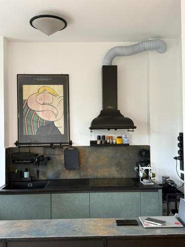 a kitchen with a picture of a frog on the wall at Vintage Apartment in Vittorio Veneto