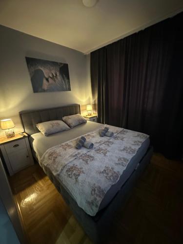 Katil atau katil-katil dalam bilik di Apartman S&V 3 Istocno Sarajevo Lukavica sa Jacuzzi Lux Spa Hilandarska Centar