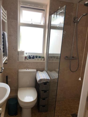 a bathroom with a toilet and a window and a shower at Westerleigh Annexe - Self-contained accommodation in Langport