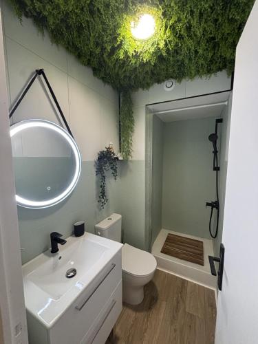 Studio Le saint Clair centre port