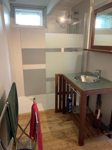 une salle de bain avec un lavabo et un miroir dans l'établissement La petite maison dans le Sidobre, à Fontrieu