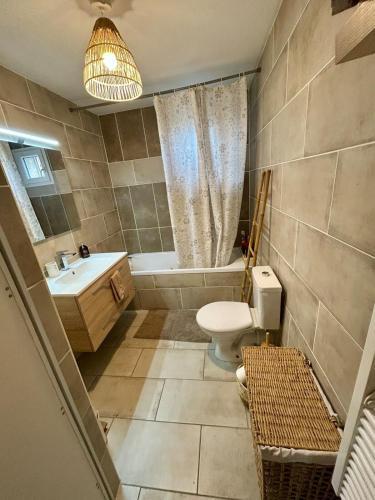 une salle de bain avec toilettes, lavabo et douche dans l'établissement Appartement centre ville , type 3 , parking , proche gare, à Sète