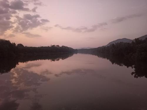 a view of a river with trees on the sides at Rainy Woods Inn in Neriyamangalam