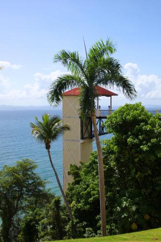 a tower with palm trees in front of the ocean at Eurostars Grand Cayacoa in Santa Bárbara de Samaná