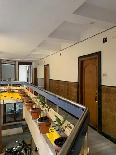 a row of tables with plants on them in a room at Hotel Shiv Parvati International, Solapur in Solapur