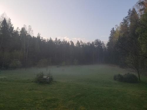 a foggy field with trees in the background at A&S Vidugiris in Jurbarkas