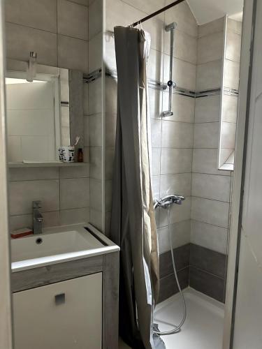 une salle de bain avec un rideau de douche et un lavabo dans l'établissement T4 chaleureux en plein centre, à Clermont-Ferrand