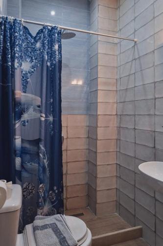 a bathroom with a shower with a toilet and a sink at Studio Lefaki in Rethymno Town