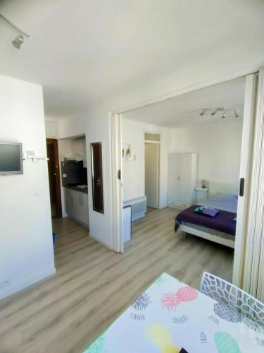 une grande chambre avec un lit et une cuisine dans l'établissement SEVIGNE 5 : Repos et tranquillité à deux pas des thermes, à Balaruc-les-Bains