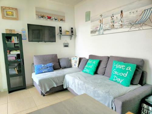 un salon avec un canapé et une télévision à écran plat dans l'établissement Rochelongue : Piscine, plage, loisirs, restaurants, au Cap d'Agde