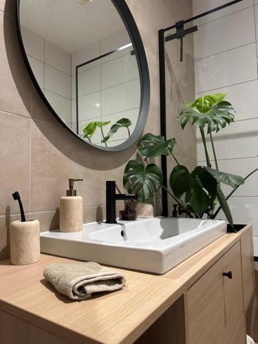 une salle de bains avec un lavabo blanc et un miroir dans l'établissement Mytna 50, à Bratislava