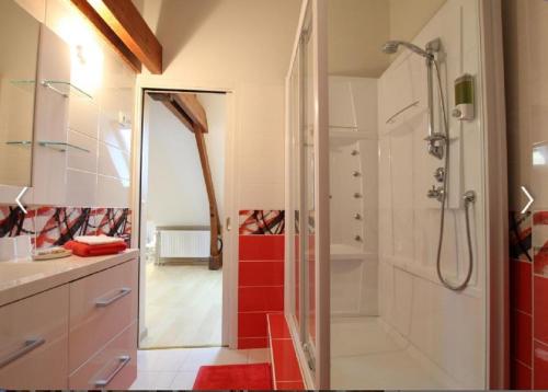 La salle de bains est pourvue d'une douche et de carrelage rouge. dans l'établissement Cour historique La cour des trois rois 1, à Villedieu-les-Poêles