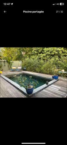 a picture of a pool with some plants in it at Chambre De L étang in Saint-Paul