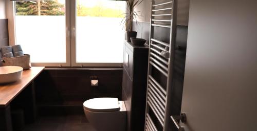 a bathroom with a toilet and a sink at Ferienwohnung Seewiefke in Holtgast