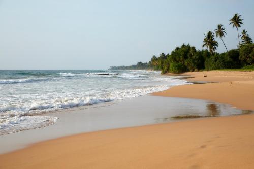 an empty beach with palm trees and the ocean at Happy Man Village in Bentota