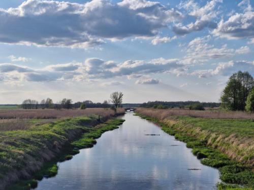 a river in the middle of a field at Agroturystyka Grodzisko in Lidzbark