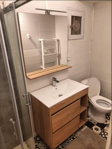 une salle de bain avec un lavabo, des toilettes et un miroir dans l'établissement Hacienda, au Barcarès