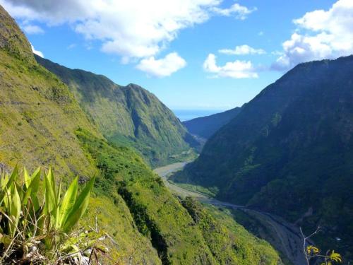 Un paisaje natural cerca del departamento