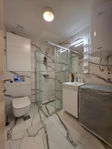 a bathroom with a shower and a toilet and a sink at Apartmani Central A20 & Free parking in Vrnjci