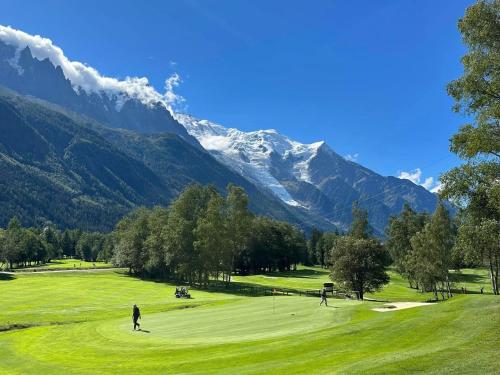 Les Rives d'Argentière photo 117
