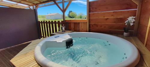Saint-GenièsにあるLe nid des Garrigues avec Jacuzzi privéのコンピュータが入った浴槽のあるバスルーム
