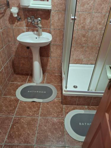 a bathroom with a sink and a shower at Apartmani Popovic in Vrdnik