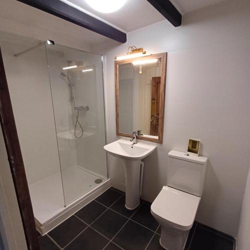 a bathroom with a toilet and a sink and a shower at The Old Post Office in Coverack