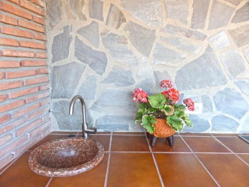 a sink with a plant next to a stone wall at Villa Francisca in Málaga