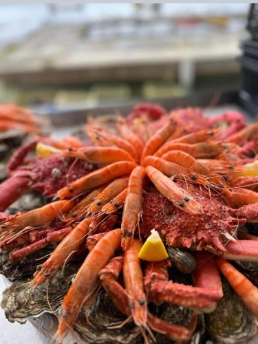 un bouquet de carottes posé sur une table dans l'établissement Studio Saint-Jacques, à Sarzeau
