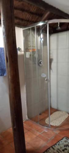 a shower with a glass door in a room at Robin's Thatch Studio- bush camp in the suburbs-sleeps 2 in Pinetown