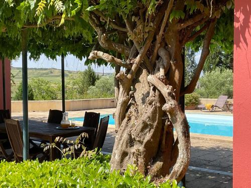 a table and chairs next to a tree next to a pool at Deluxe Bedroom in Farmhouse, Swimming Pool, By TimeCooler in Sobral de Monte Agraço