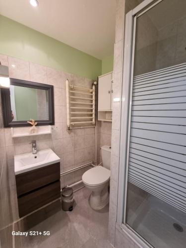 une salle de bain avec toilettes et lavabo dans l'établissement Le Belfort centre ville, à Chalon-sur-Saône