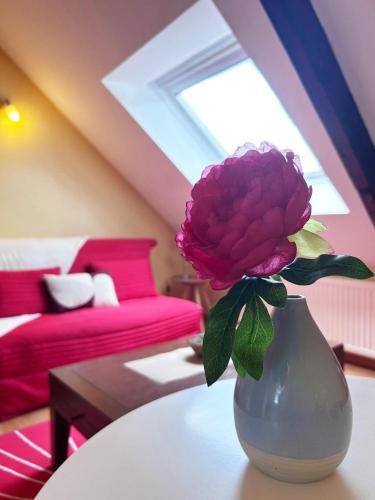 une fleur rose dans un vase sur une table dans l'établissement Au fil du temps, à Morlaix