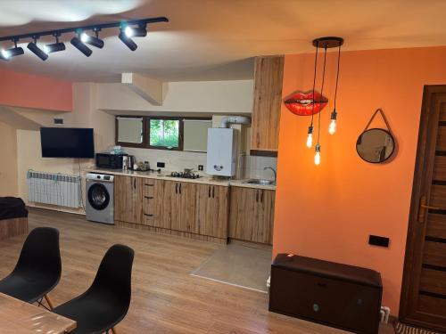 Dapur atau dapur kecil di Apart Arm