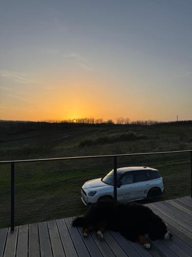a dog laying on a deck next to a car at CAMPY ECO HOUSE • EGER in Egerszólát