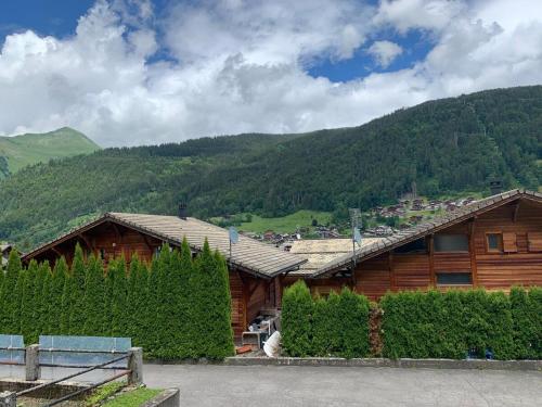 Charmant studio Morzine Centre