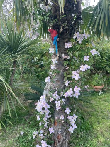 Un jardín fuera de Gites le Pimayon