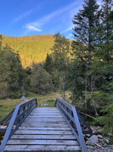 a wooden bridge in the middle of a forest at Tradisjonell norsk hytte i vakre Rasdalen in Vossevangen