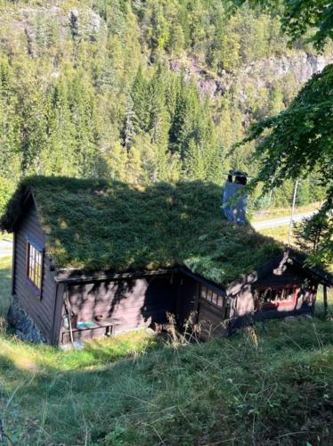 a small house with a grass roof in a field at Tradisjonell norsk hytte i vakre Rasdalen in Vossevangen