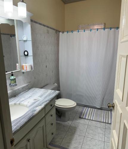 a bathroom with a sink and a toilet and a shower at Evelyn Villa in Tower Isle