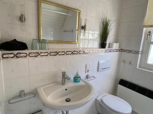 Un baño con lavabo, inodoro y espejo. en Weingut Krupka Riverside, en Kröv