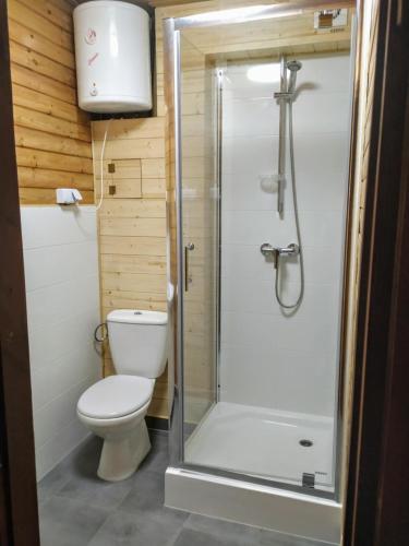 a bathroom with a toilet and a shower at Dom Pilchy nad jeziorem Roś in Pilchy