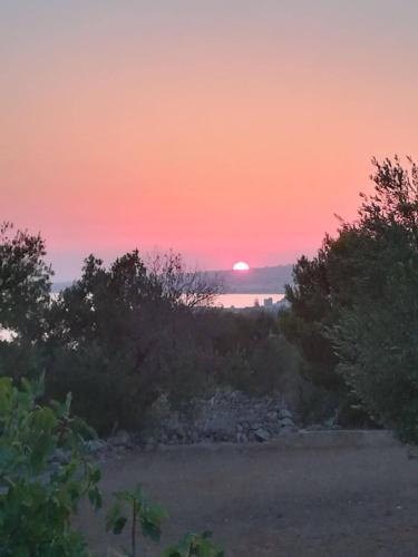 a sunset over a body of water with trees at Villa thomas torre vado san Gregorio in Marina San Gregorio