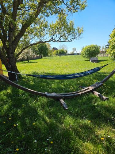 a hammock in a field next to a tree at Landhaus Charlotte - Feldblick in Wassersuppe