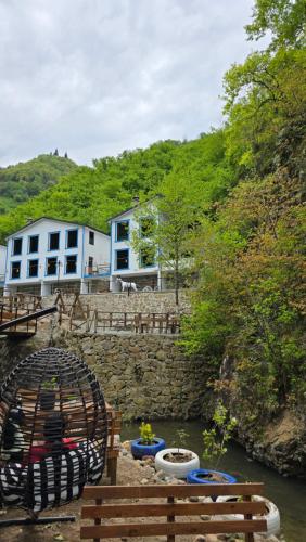 Un paisaje natural cerca del hotel