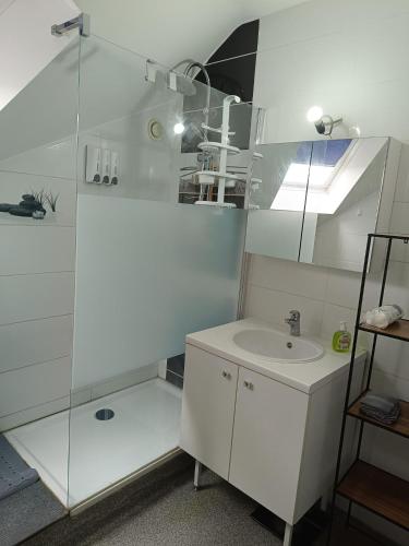 a white bathroom with a sink and a shower at Chez Oppo in Charleroi