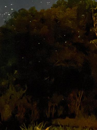 a painting of a night sky with clouds and trees at 4154ft in ramboda in Ramboda