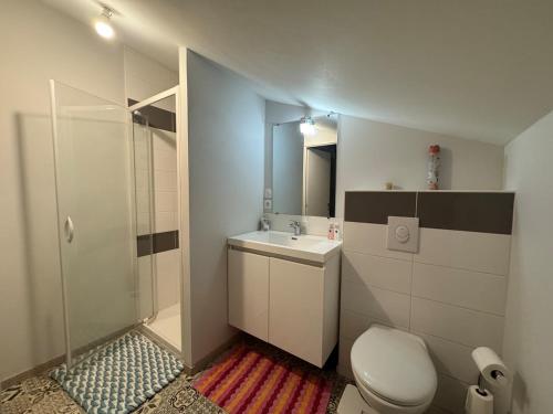 une salle de bain avec toilettes, lavabo et douche dans l'établissement Charmant duplex cosy au centre ville, à Périgueux